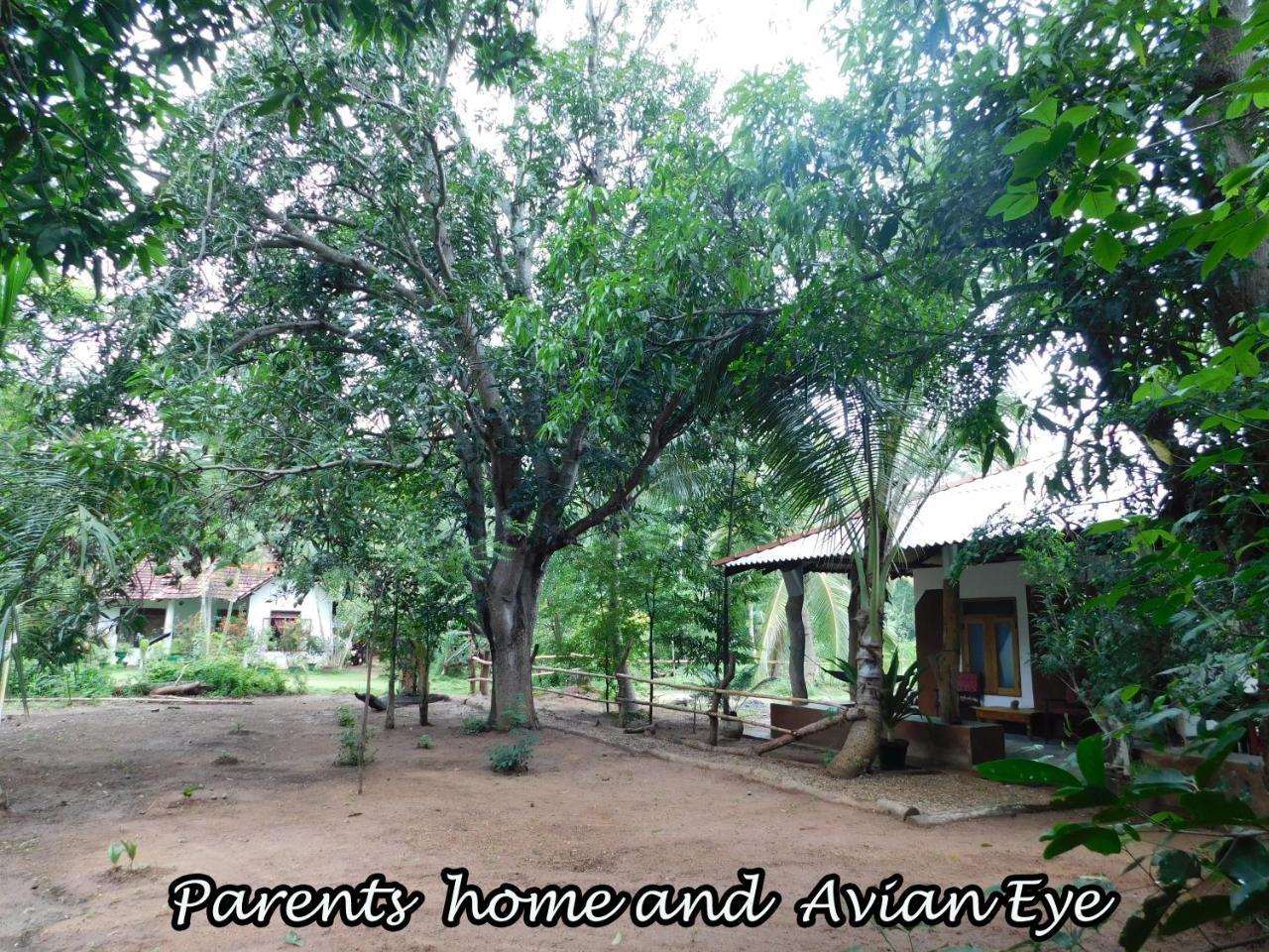 Appartamento Yala Avian Eye Safari Buttala Esterno foto