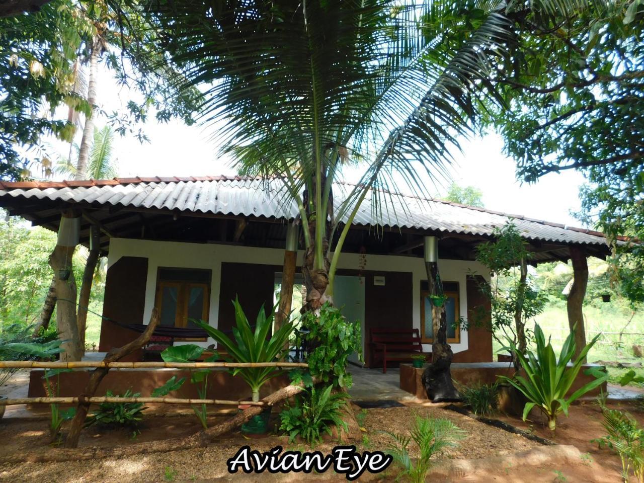 Appartamento Yala Avian Eye Safari Buttala Esterno foto
